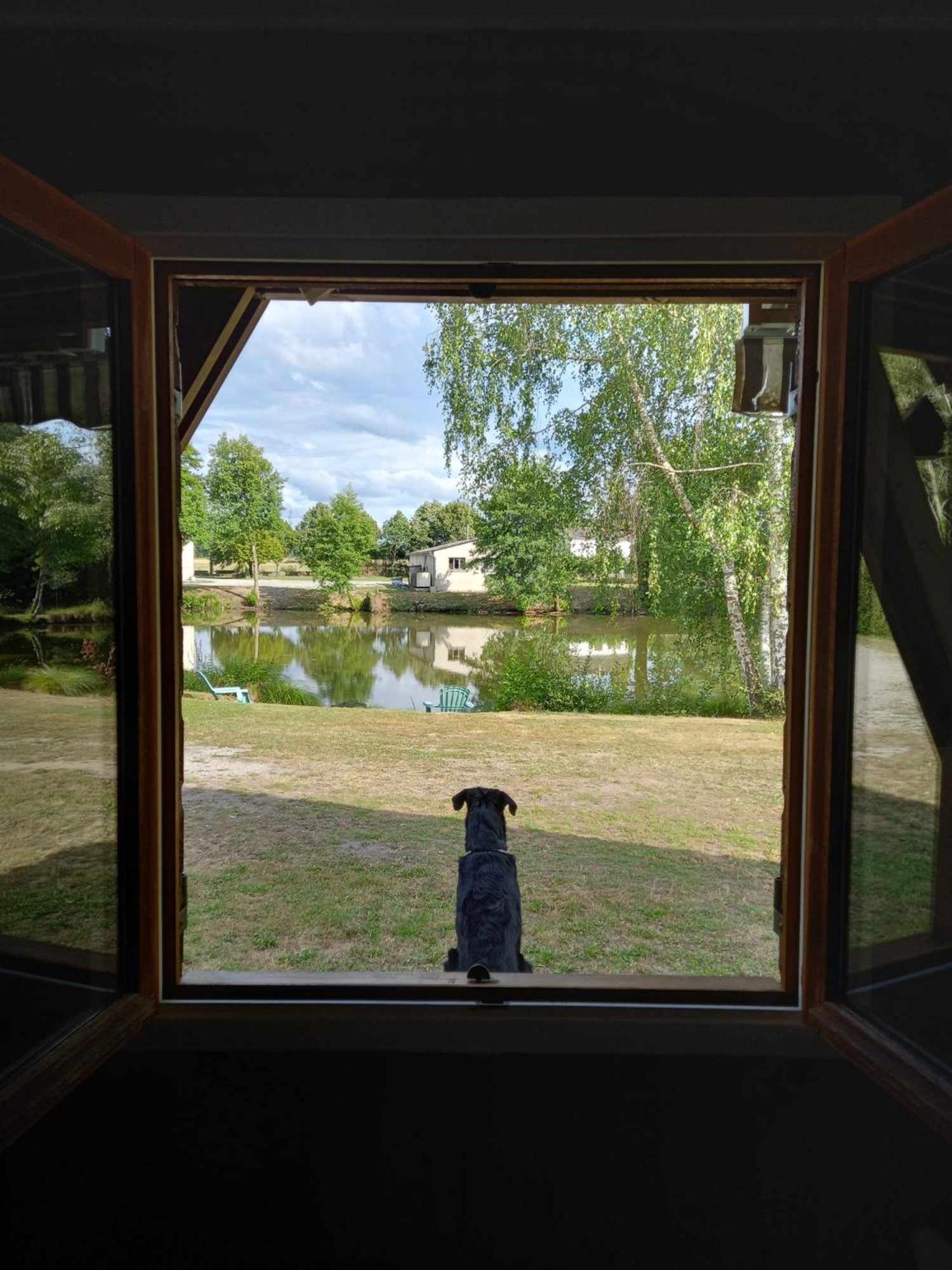 Le Chalet Limousin Folles 外观 照片