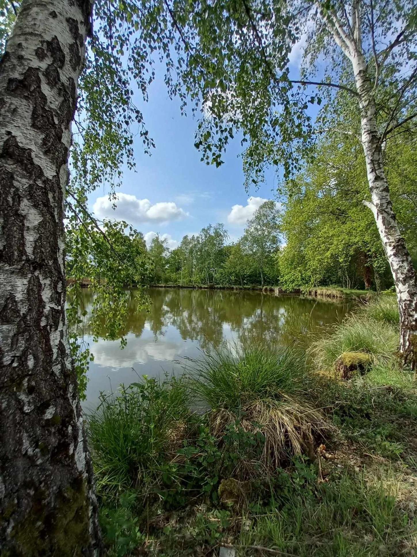Le Chalet Limousin Folles 外观 照片